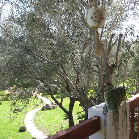Loiri Porto San Paolo Maravilla מראה חיצוני תמונה