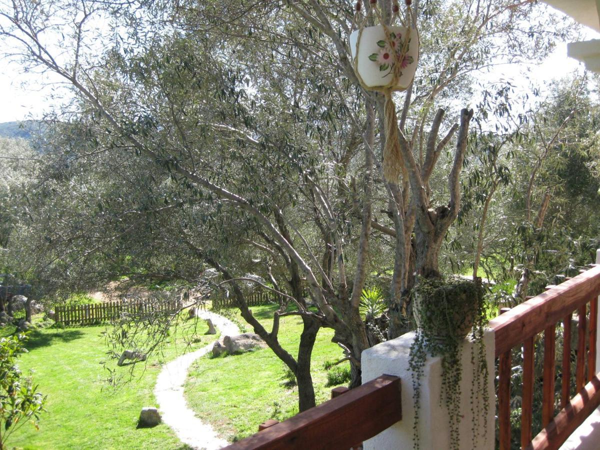 Loiri Porto San Paolo Maravilla מראה חיצוני תמונה